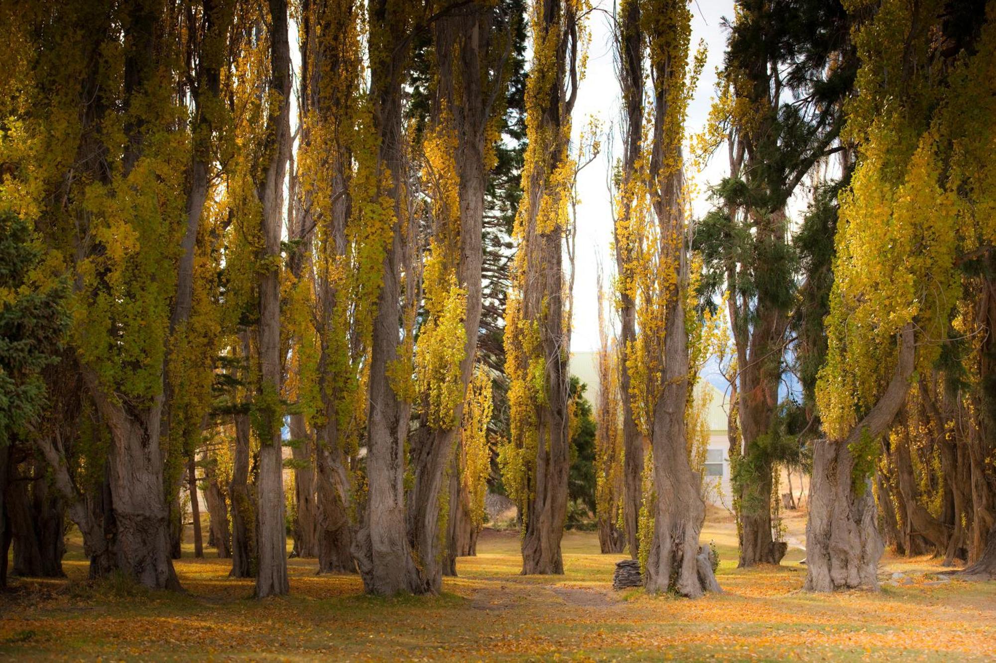 Estancia Cristina Lodge - El Calafate المظهر الخارجي الصورة